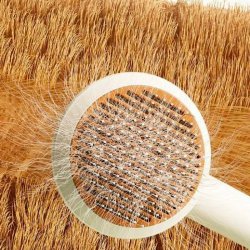 برس و پرزگیر حیوانات مدل 2 کاره